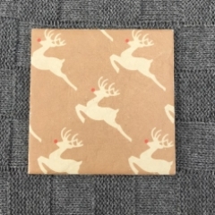 Rudolph Coasters